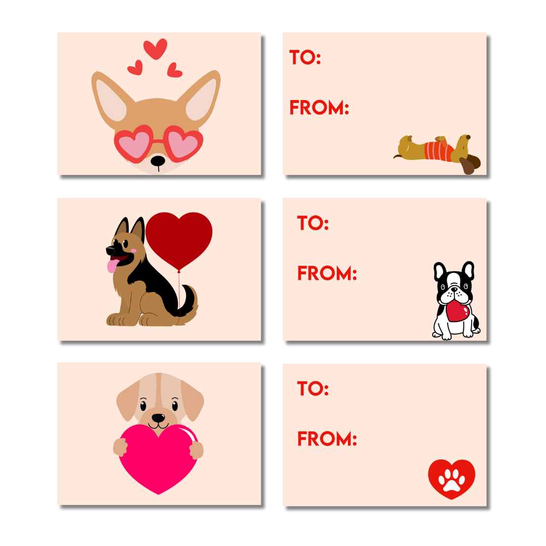 Lots de cartes de Saint-Valentin « Puppy Love »