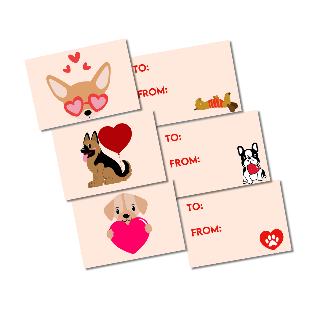 Lots de cartes de Saint-Valentin « Puppy Love »