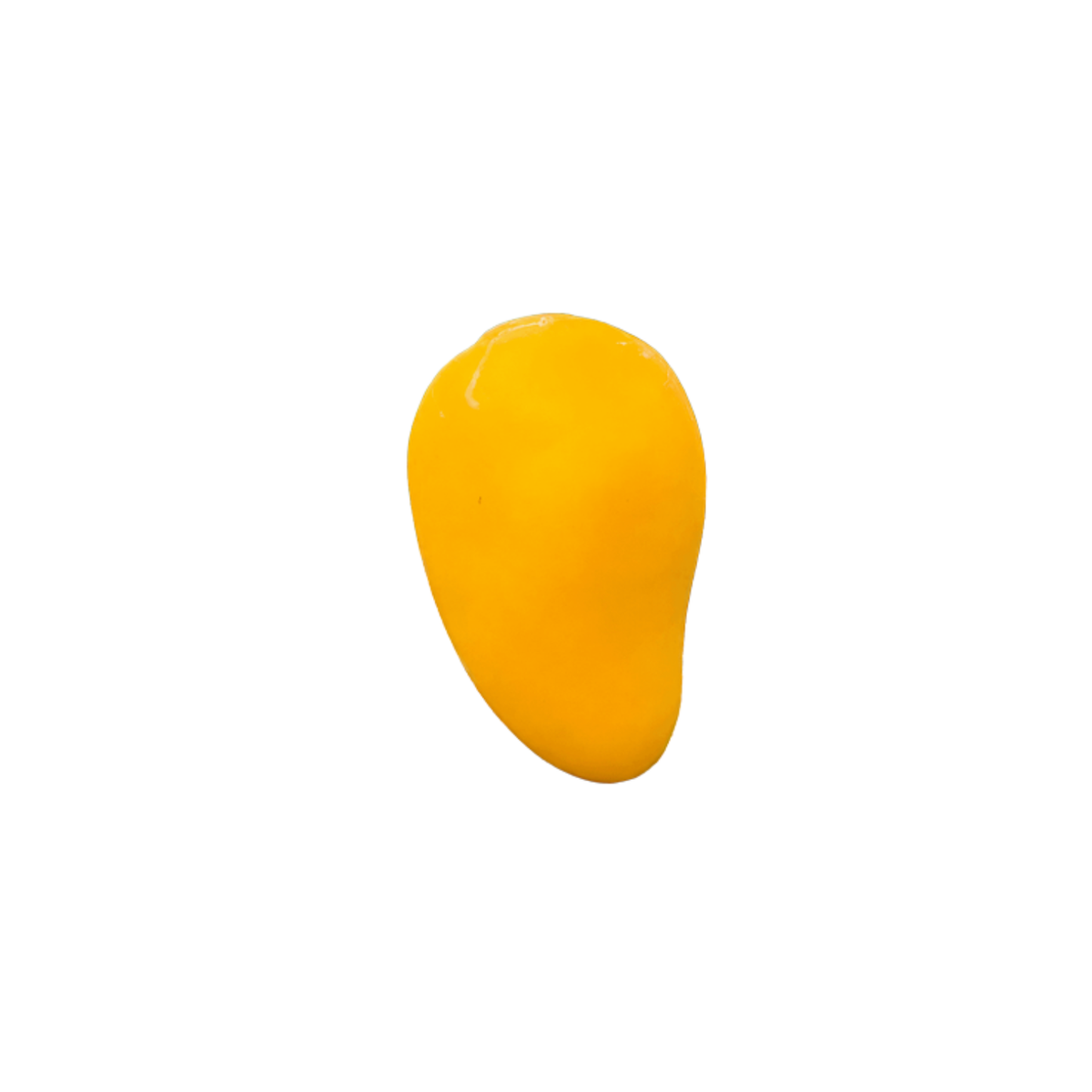Jumbo Mango Squishy