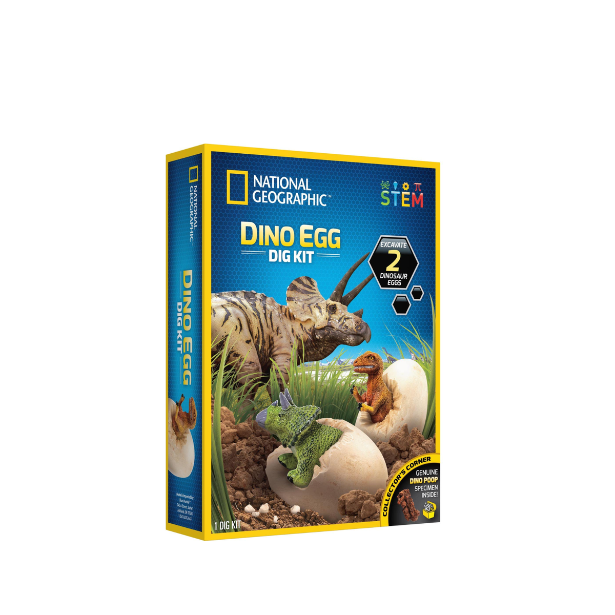 National Geographic - Dino Egg Dig Kit