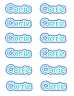 Colourful Name Sticker Sheets (Set of 12)